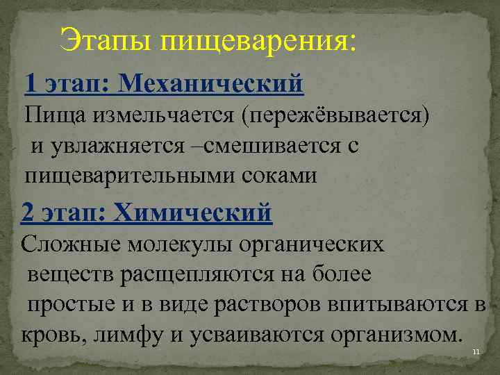 Этапы пищеварения: 1 этап: Механический Пища измельчается (пережёвывается) и увлажняется –смешивается с пищеварительными соками