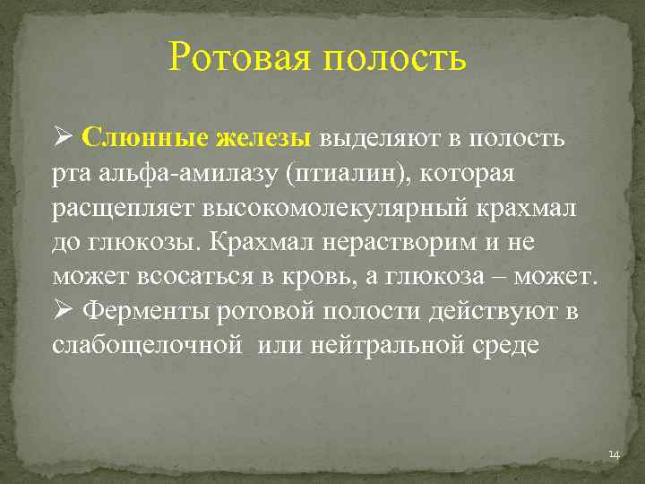 Ротовая полость Ø Слюнные железы выделяют в полость рта альфа-амилазу (птиалин), которая расщепляет высокомолекулярный