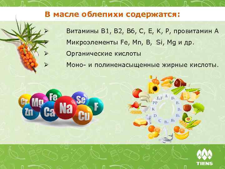 В масле облепихи содержатся: Ø Витамины B 1, B 2, B 6, C, E,