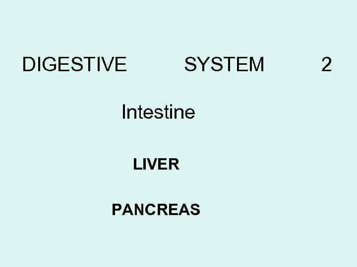 DIGESTIVE SYSTEM Intestine LIVER PANCREAS 2 