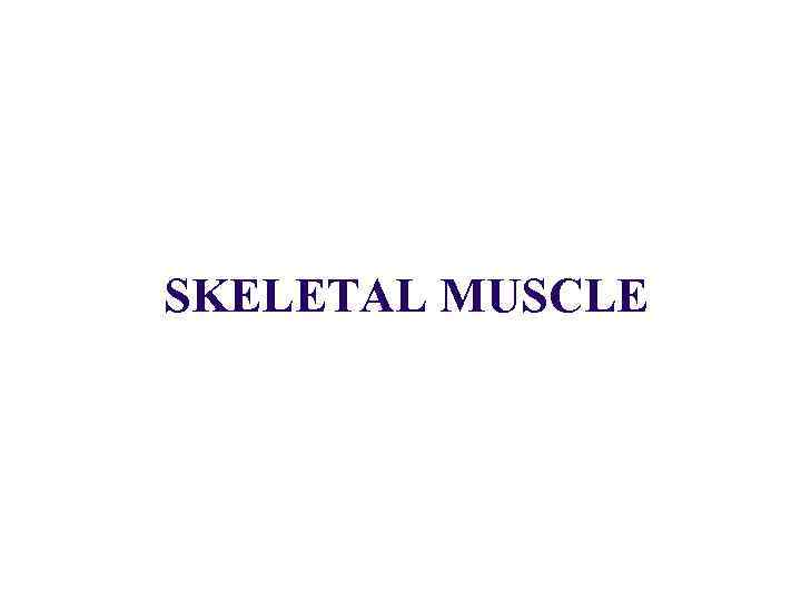 SKELETAL MUSCLE 