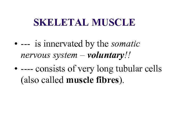 SKELETAL MUSCLE • --- is innervated by the somatic nervous system – voluntary!! •