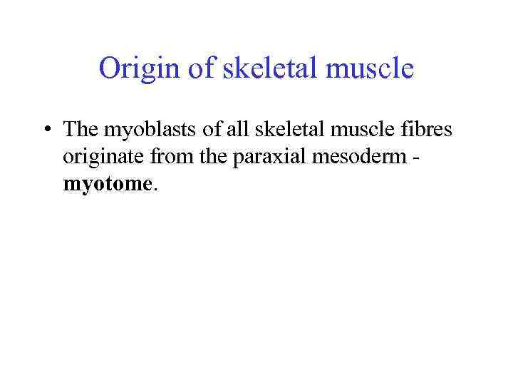 Origin of skeletal muscle • The myoblasts of all skeletal muscle fibres originate from