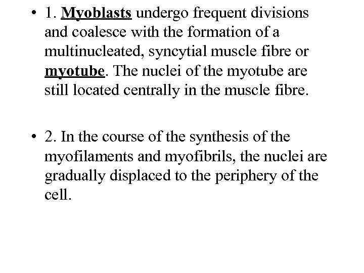  • 1. Myoblasts undergo frequent divisions and coalesce with the formation of a