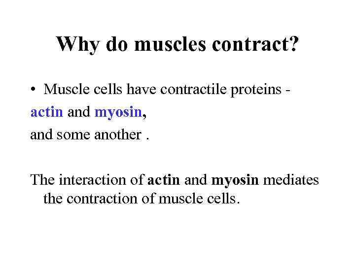 Why do muscles contract? • Muscle cells have contractile proteins actin and myosin, and