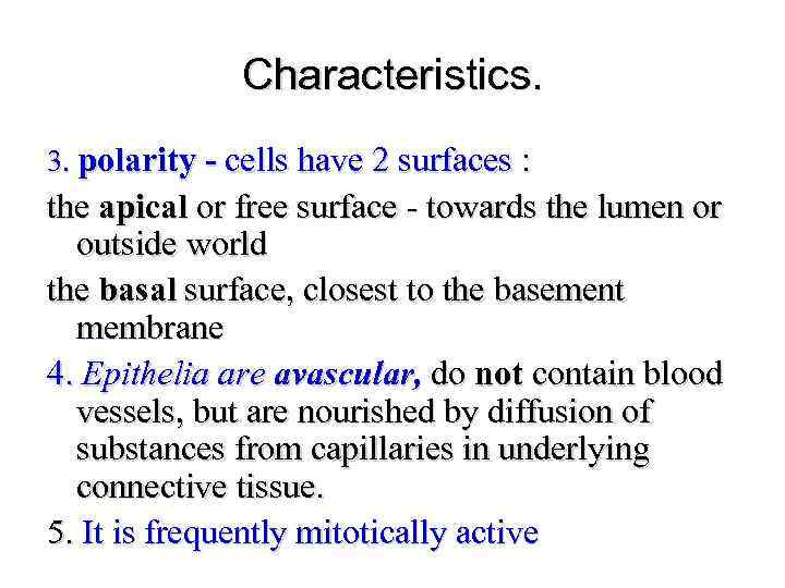 Characteristics. 3. polarity - cells have 2 surfaces : the apical or free surface