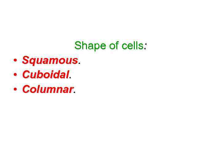  • • • Shape of cells: Squamous. Cuboidal. Columnar. 