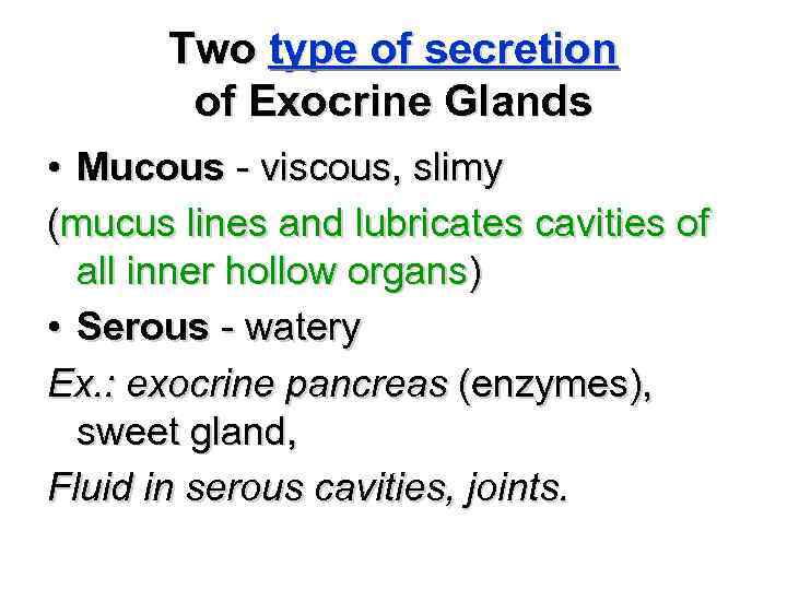 Two type of secretion of Exocrine Glands • Mucous - viscous, slimy (mucus lines