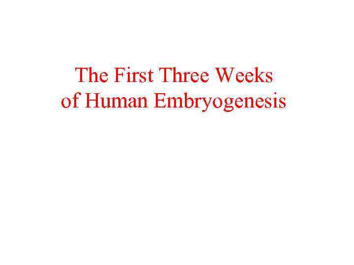 The First Three Weeks of Human Embryogenesis 