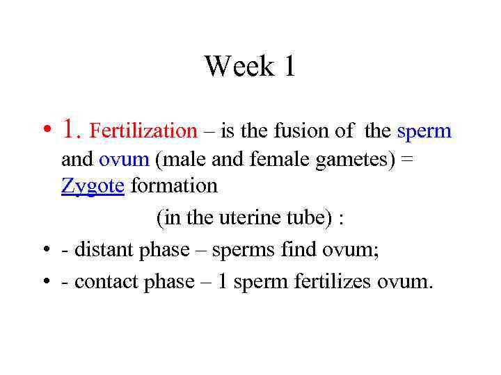 Week 1 • 1. Fertilization – is the fusion of the sperm and ovum