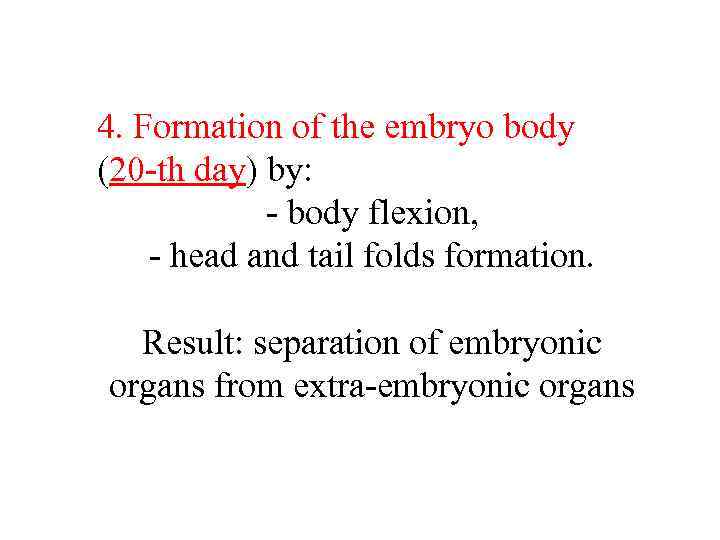 4. Formation of the embryo body (20 -th day) by: - body flexion, -