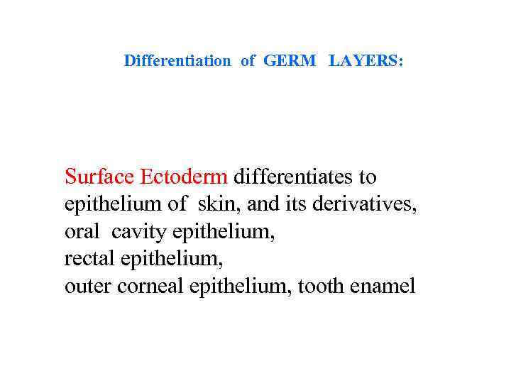 Differentiation of GERM LAYERS: Surface Ectoderm differentiates to epithelium of skin, and its derivatives,