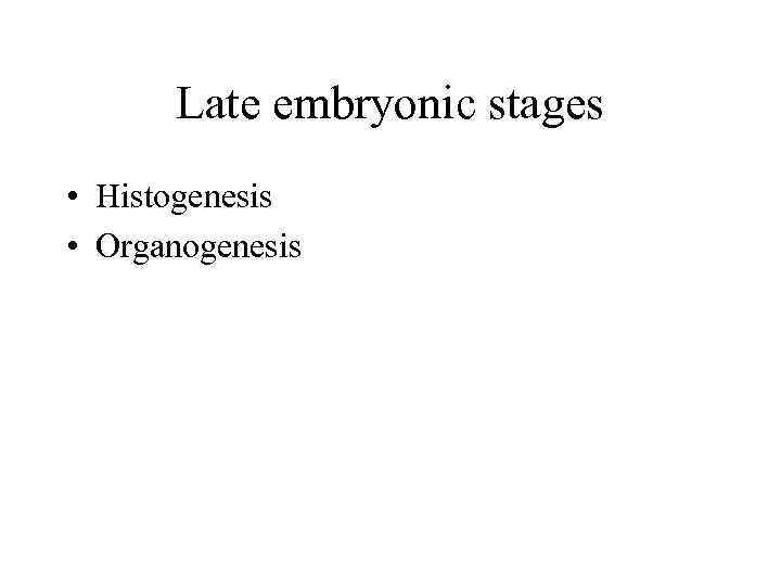 Late embryonic stages • Histogenesis • Organogenesis 