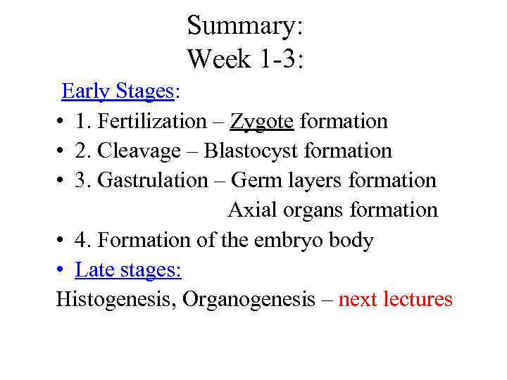 Summary: Week 1 -3: Early Stages: • 1. Fertilization – Zygote formation • 2.