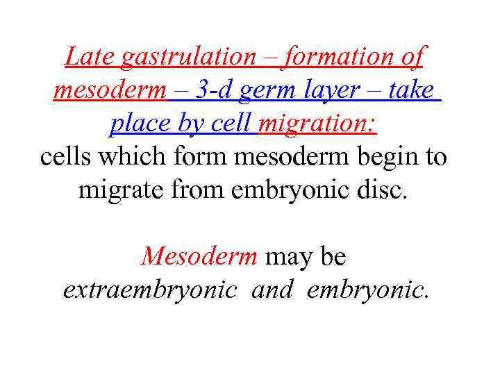 Late gastrulation – formation of mesoderm – 3 -d germ layer – take place