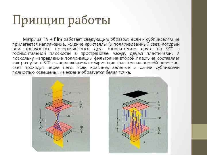 Принцип работы Матрица TN + film работает следующим образом: если к субпикселям не прилагается