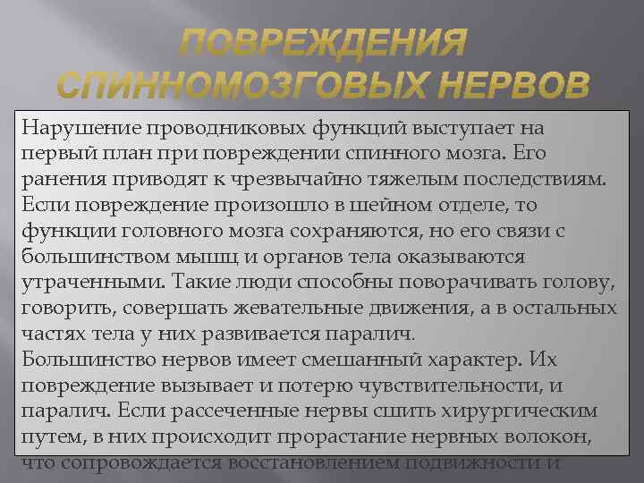 Нарушение проводниковых функций выступает на первый план при повреждении спинного мозга. Его ранения приводят