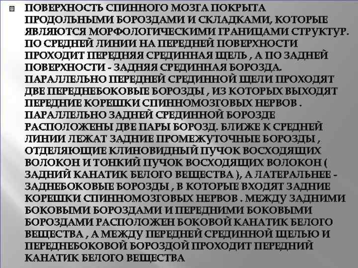  ПОВЕРХНОСТЬ СПИННОГО МОЗГА ПОКРЫТА ПРОДОЛЬНЫМИ БОРОЗДАМИ И СКЛАДКАМИ, КОТОРЫЕ ЯВЛЯЮТСЯ МОРФОЛОГИЧЕСКИМИ ГРАНИЦАМИ СТРУКТУР.