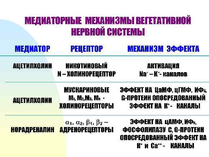 МЕДИАТОРНЫЕ МЕХАНИЗМЫ ВЕГЕТАТИВНОЙ НЕРВНОЙ СИСТЕМЫ 