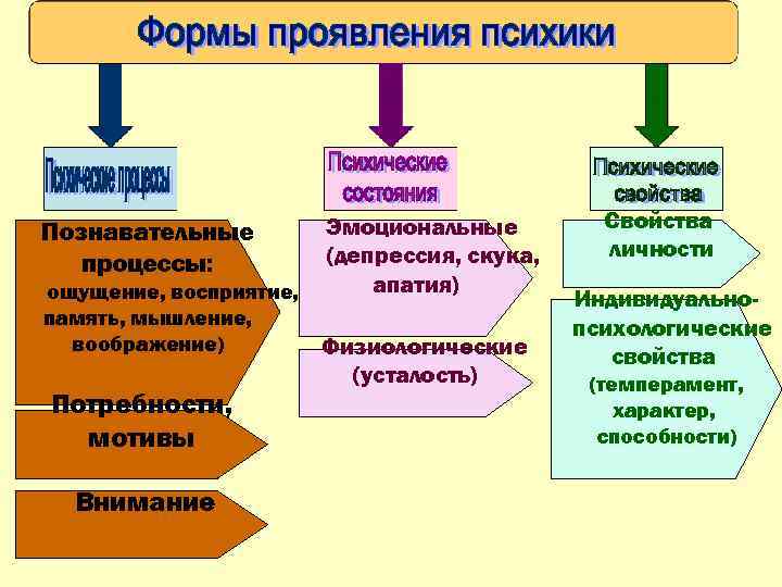 Познавательные процессы: (ощущение, восприятие, память, мышление, воображение) Потребности, мотивы Внимание Эмоциональные (депрессия, скука, апатия)