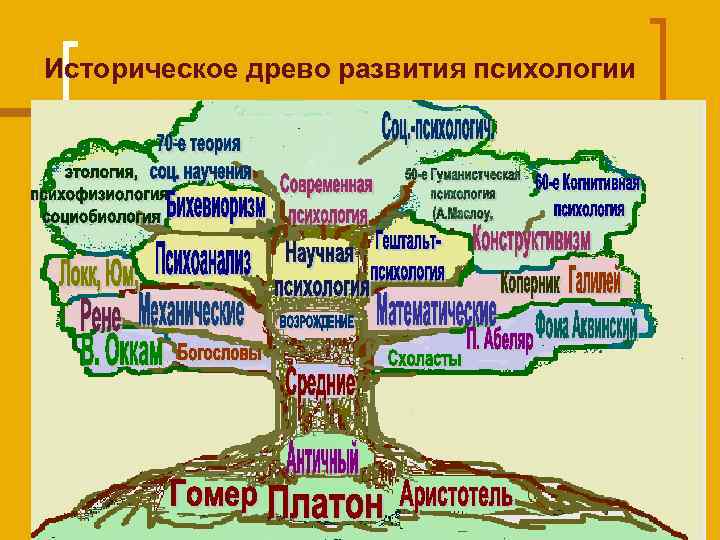 Историческое древо развития психологии 