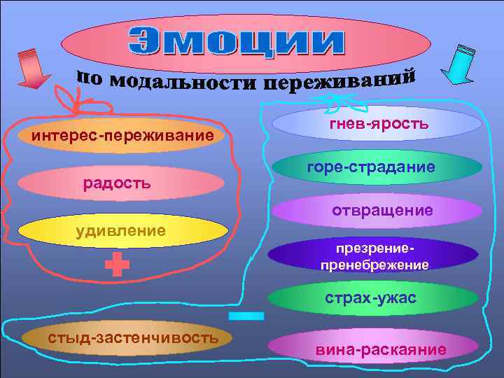 интерес-переживание радость гнев-ярость горе-страдание отвращение удивление презрениепренебрежение страх-ужас стыд-застенчивость вина-раскаяние 