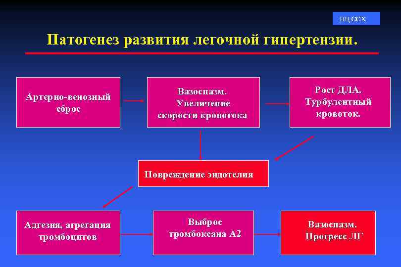 Развитие гипертензии. Патогенез легочной гипертензии. Механизм развития легочной гипертензии. Легочная гипертензия этиология. Патогенез легочной артериальной гипертензии.