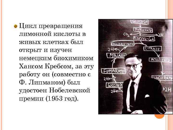 Цикл превращения лимонной кислоты в живых клетках был открыт и изучен немецким биохимиком Хансом