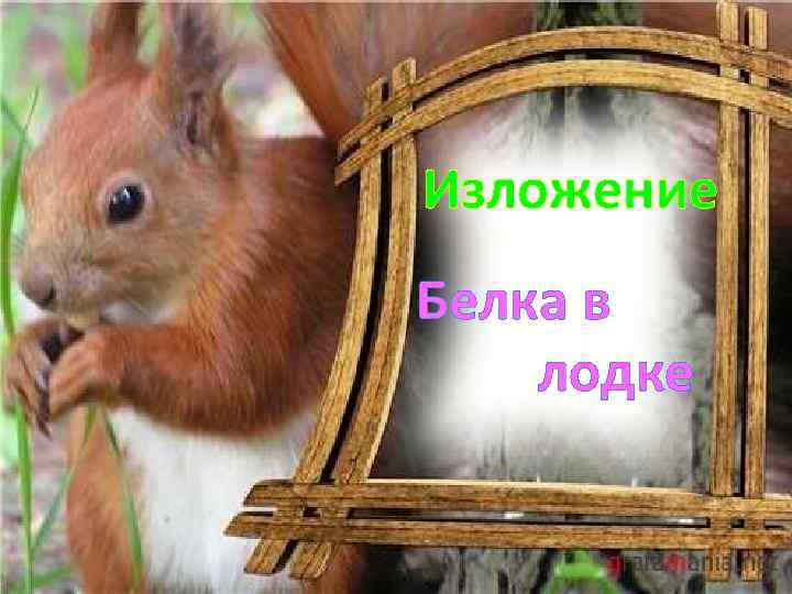 Изложение Белка в лодке 