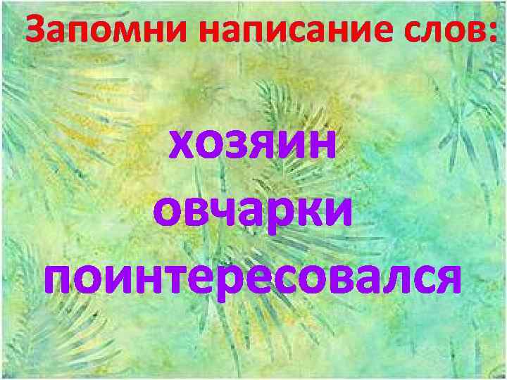 Запомни написание слов: хозяин овчарки поинтересовался 