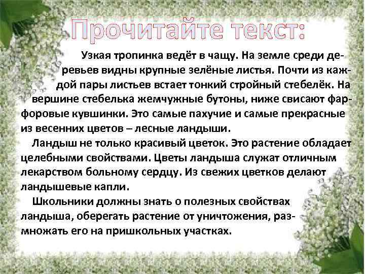 Текст песни ландыши. Изложение Ландыши. Ландыш изложение текст. Изложение Ландыши 4 класс. Изложения Ландыши узкая тропинка.