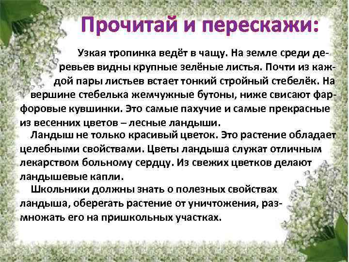 Прочитай и перескажи: Узкая тропинка ведёт в чащу. На земле среди деревьев видны крупные