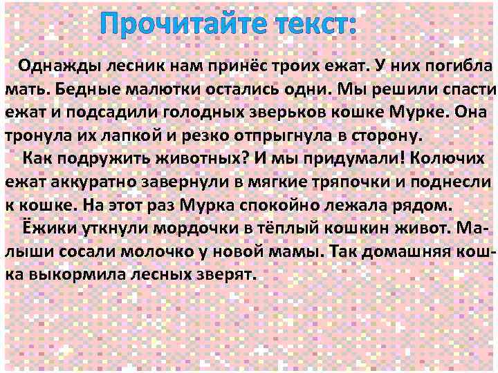 Прочитайте текст: Однажды лесник нам принёс троих ежат. У них погибла мать. Бедные малютки