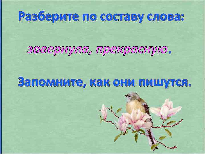 Разберите по составу слова: завернула, прекрасную. Запомните, как они пишутся. 