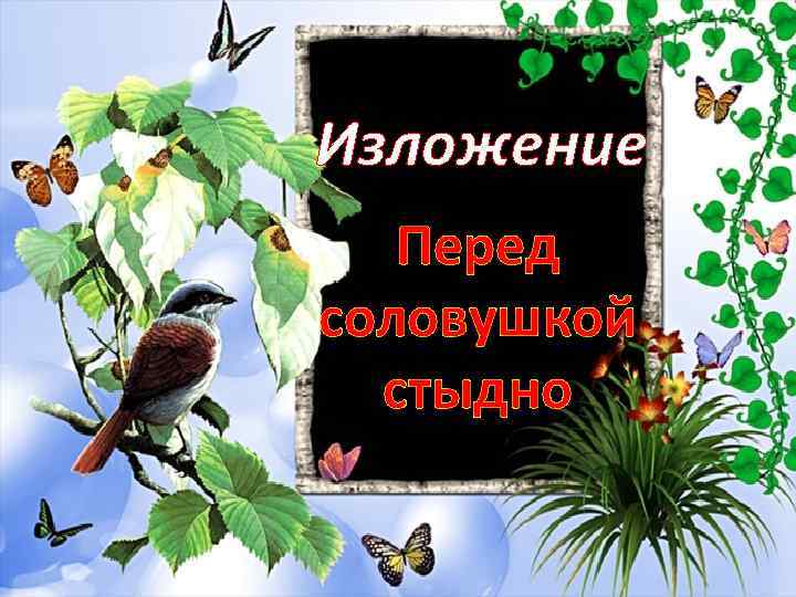 Изложение Перед соловушкой стыдно 