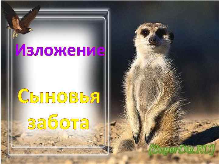 Изложение сын. Сыновья забота изложение. Сыновья забота изложение 4 класс. Сыновья забота текст.