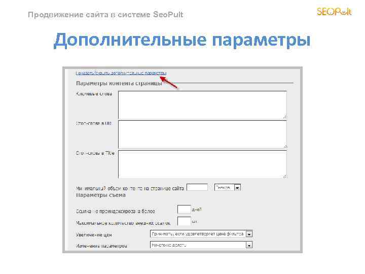 Продвижение сайта в системе Seo. Pult Дополнительные параметры 