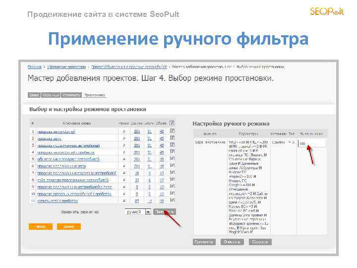 Продвижение сайта в системе Seo. Pult Применение ручного фильтра 