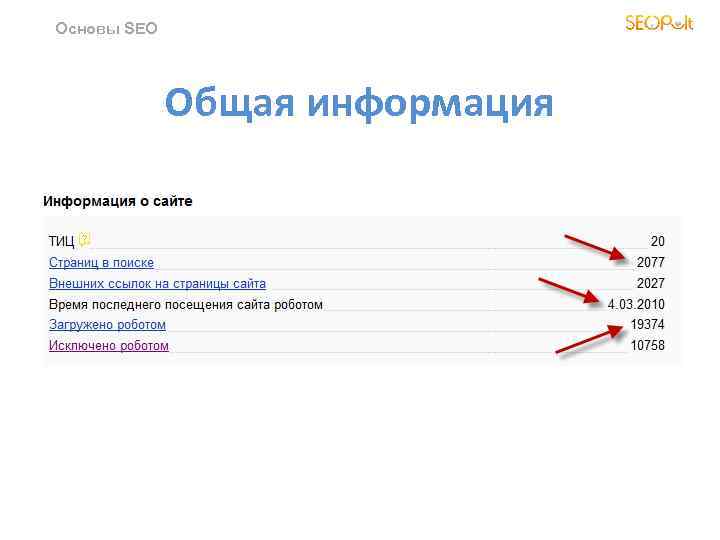 Основы SEO Общая информация 
