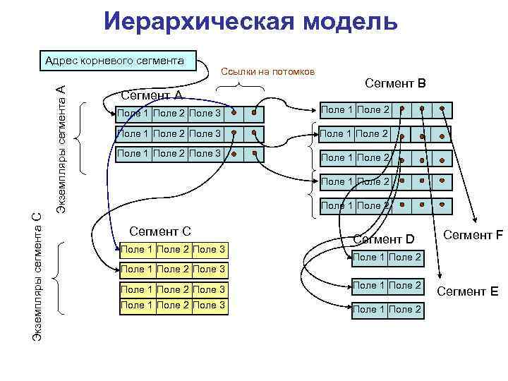 Иерархическая модель Экземпляры сегмента А Экземпляры сегмента C Адрес корневого сегмента Ссылки на потомков