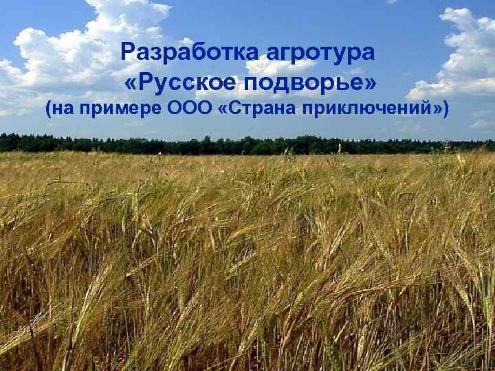 Разработка агротура «Русское подворье» (на примере ООО «Страна приключений» ) 