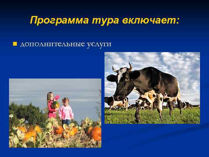 Программа тура включает: n дополнительные услуги 