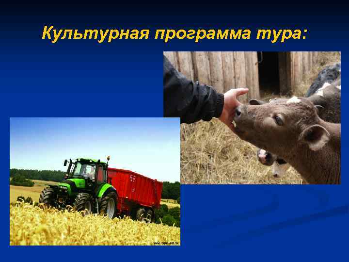 Культурная программа тура: 