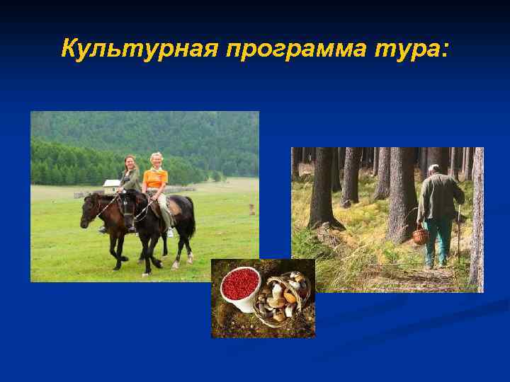 Культурная программа тура: 