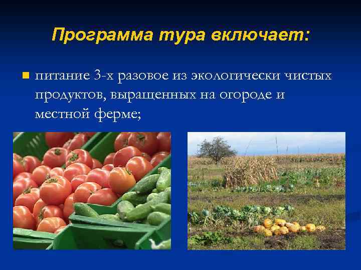 Программа тура включает: n питание 3 -х разовое из экологически чистых продуктов, выращенных на