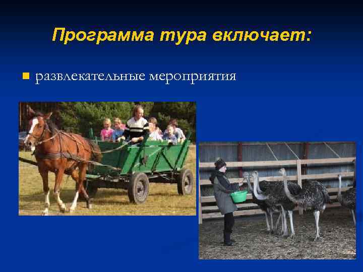 Программа тура включает: n развлекательные мероприятия 