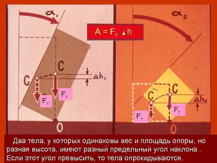 F A = Fтт Fт h Fт Fт Fт Два тела, у которых одинаковы