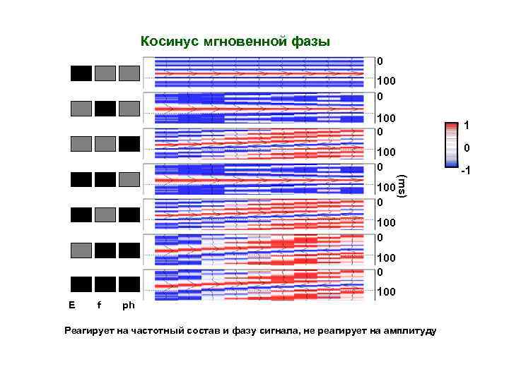 Косинус мгновенной фазы 0 100 0 (ms) 100 0 100 E f ph Реагирует