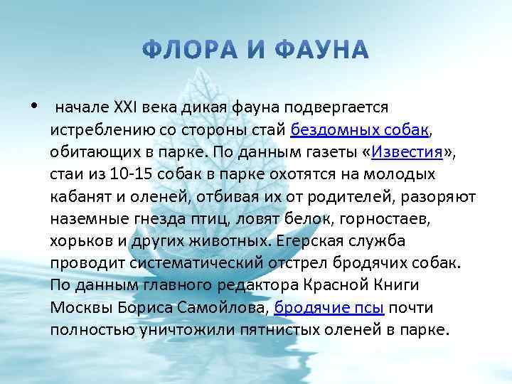  • начале XXI века дикая фауна подвергается истреблению со стороны стай бездомных собак,