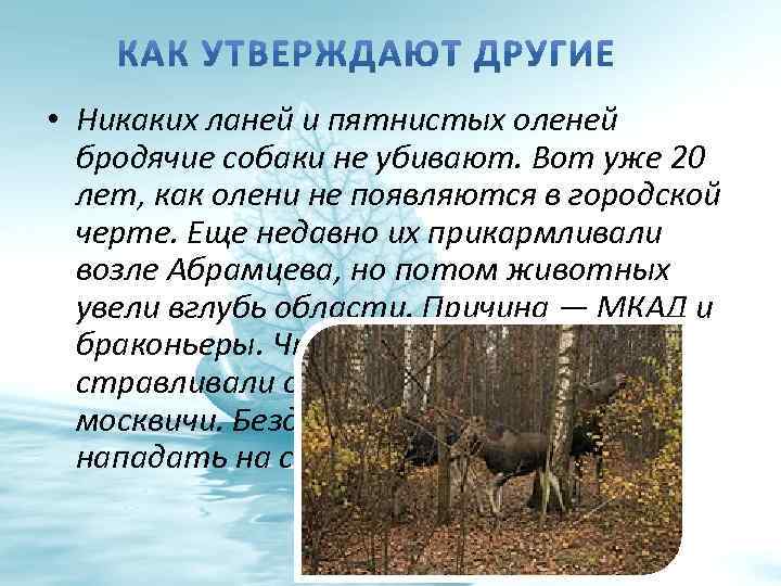  • Никаких ланей и пятнистых оленей бродячие собаки не убивают. Вот уже 20